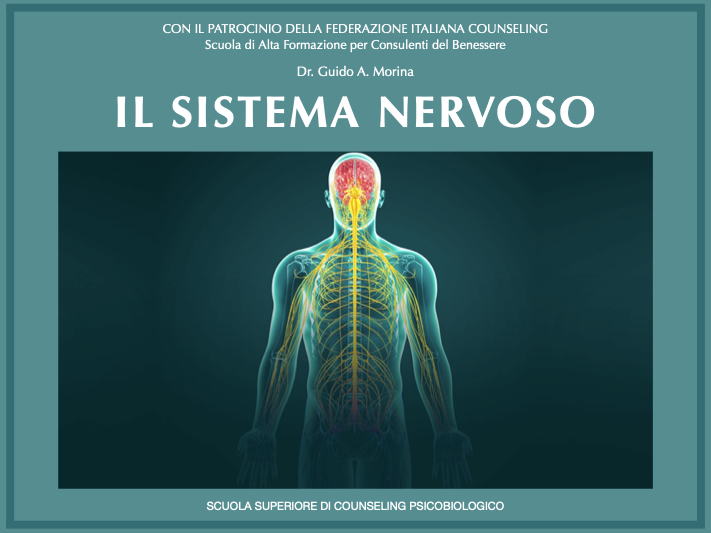 sistema nervoso