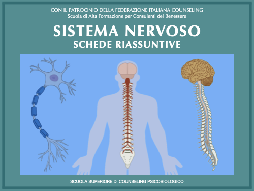sistema nervoso e counseling
