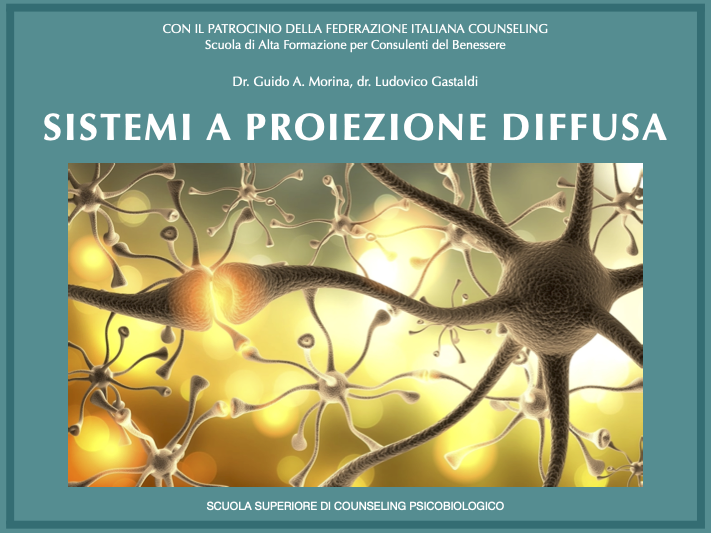 sistemi a proiezione diffusa