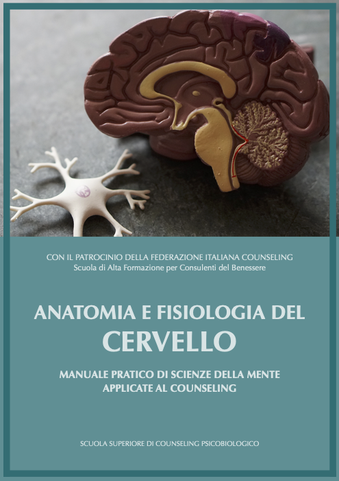 anatomia del cervello